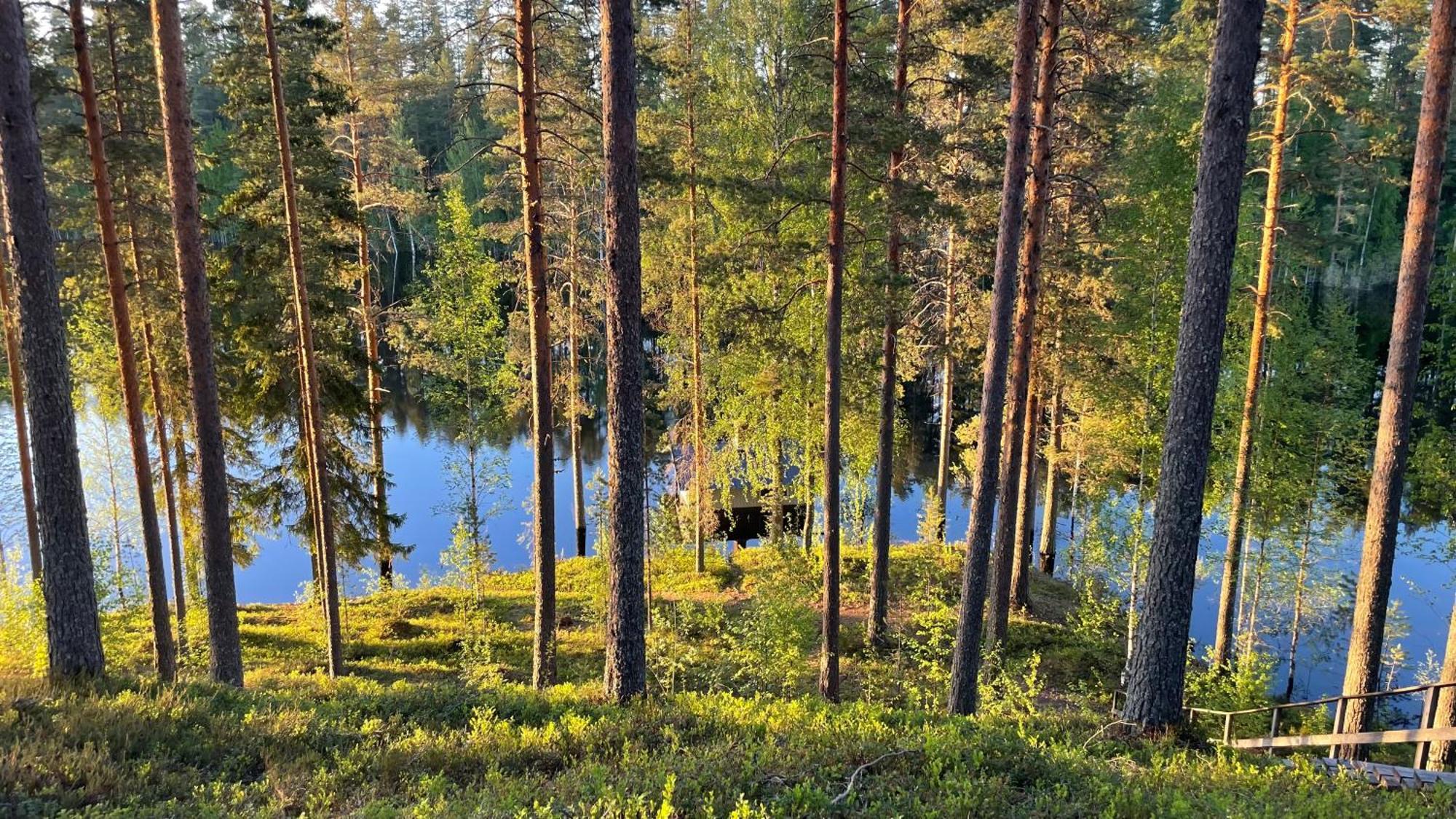 Ahvenlampi Camping Saarijärvi Zewnętrze zdjęcie