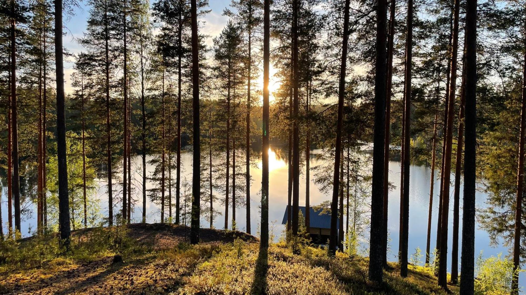 Ahvenlampi Camping Saarijärvi Zewnętrze zdjęcie