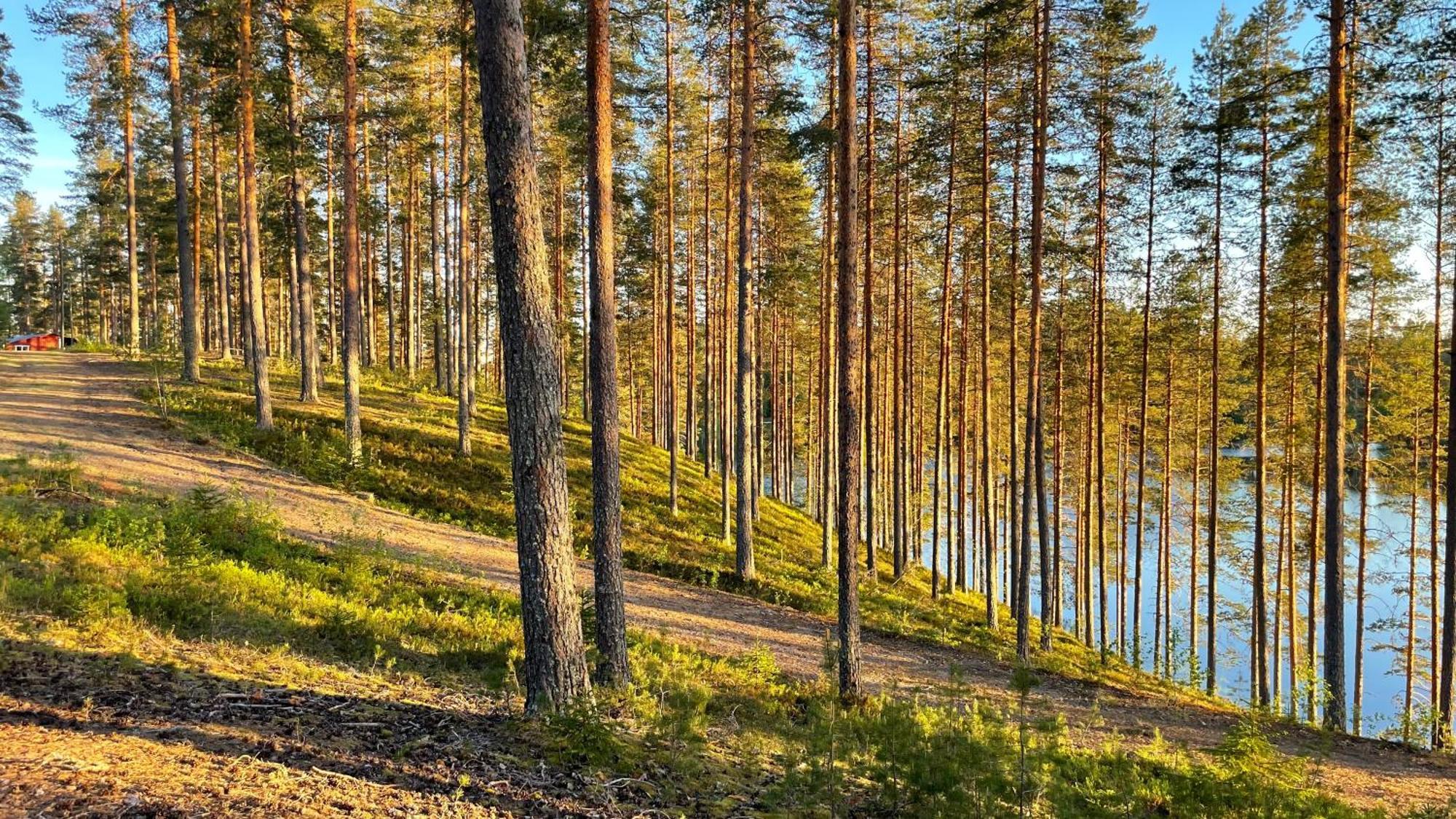 Ahvenlampi Camping Saarijärvi Zewnętrze zdjęcie